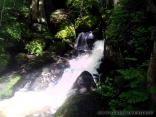 IMG_20140531_100817.jpg